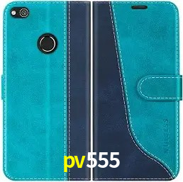 Descubra o Programa VIP da pv555: Vantagens Exclusivas para Jogadores